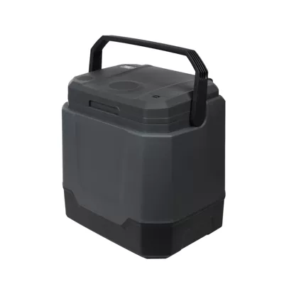 Factory Direct Sales Supply 33L Soyuducular - black-bluetooth-model-452354455mm
