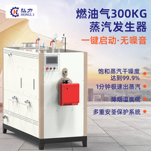 弘力全自动300KG燃油气蒸汽发生器化工制药医疗消毒安全环保设备