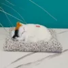 Two-color napping mat for cats (meowing + plush mat) ~ limited time special offer, grab it now