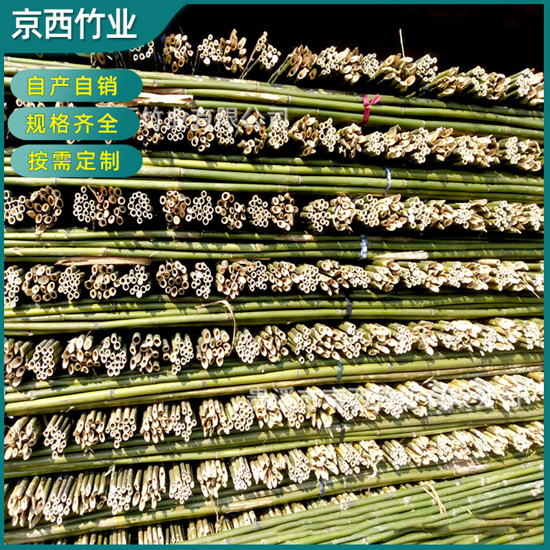 苹果树竹竿 产地销售 绑扶矮砧密集型苹果树苗用4米小竹竿