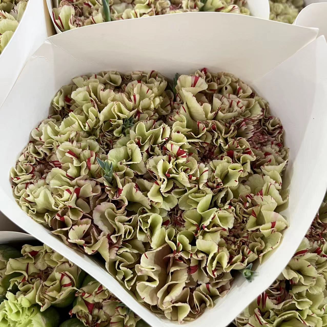 微信图片_20230213200216