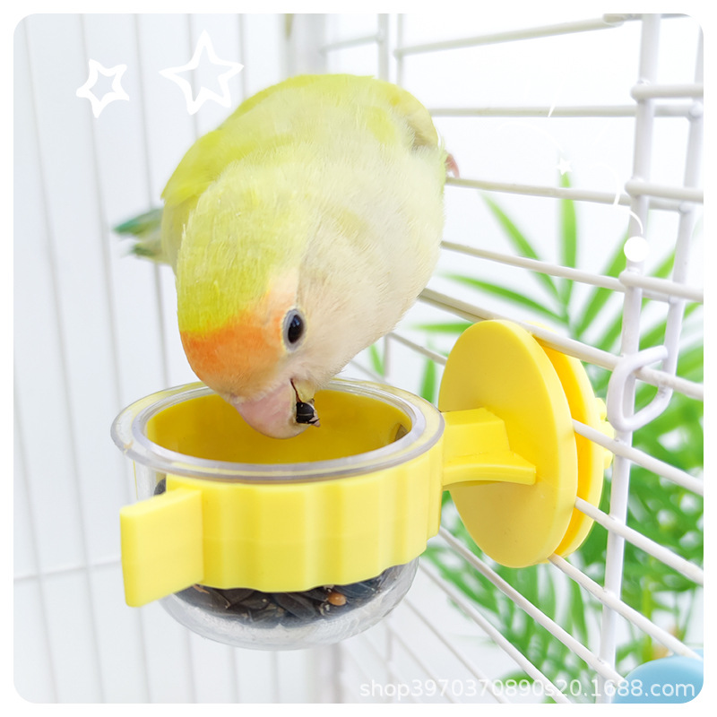 Parrot Crystal Bubble Food Bowl Food Box Split Food Bowl Pet Bowl Anti-Tip Peony Black Phoenix Tiger Skin Feeder 2