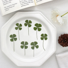 原色四叶草树叶标本幸运草滴胶干花DIY手工材料天然真花压花材料