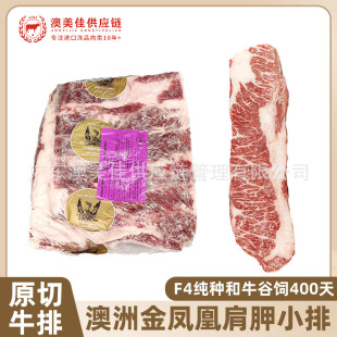 ���޽��P�˺�ţ����С��ԭ��ţ��203�S���N���Ǽ���ѩ��ţ�����l