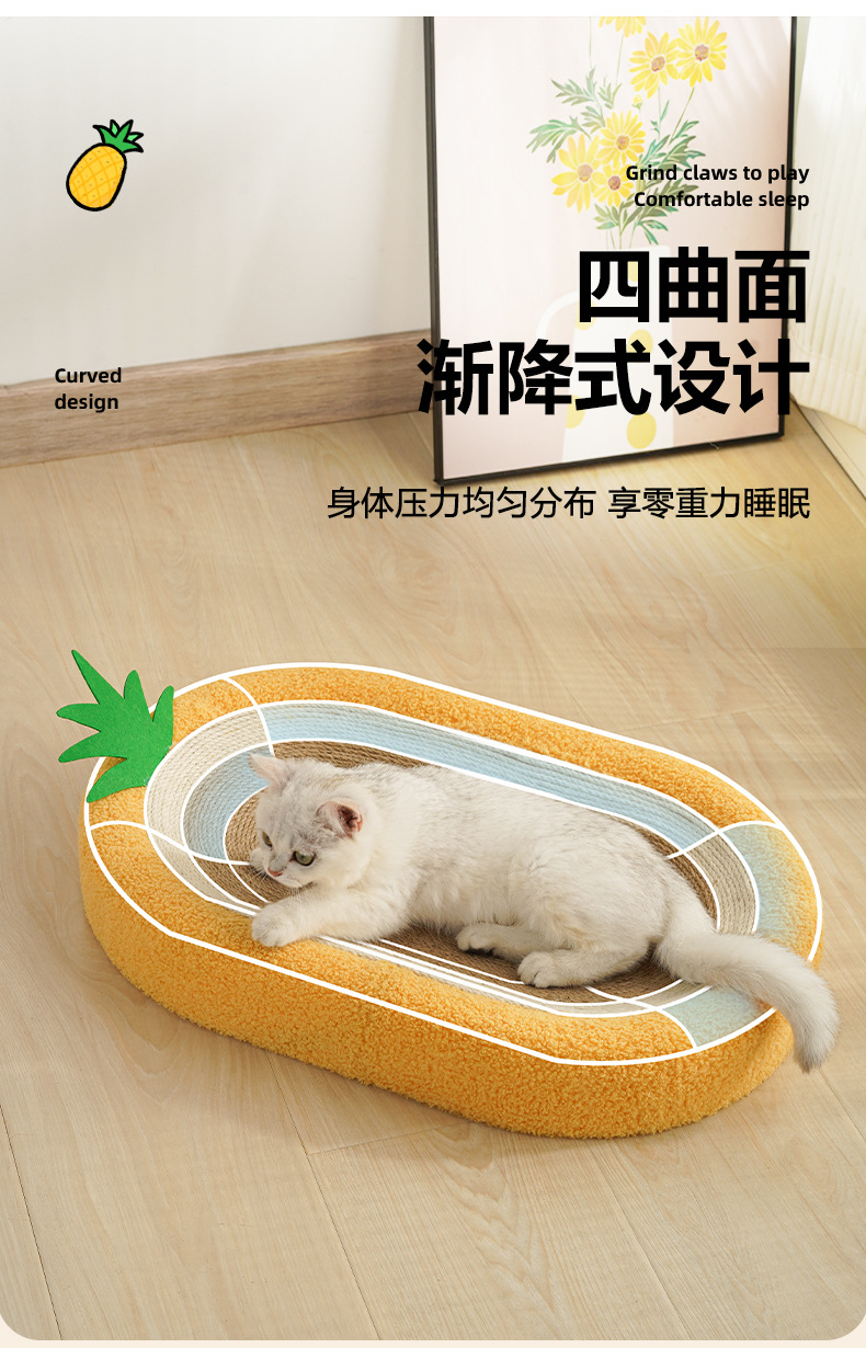 菠萝剑麻盆_08.jpg