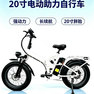 20inch Lithium Battery Folding Electric Bicycle Cross-Border Foreign Trade Snow Electric Bike Bicycle Export Manufacturer