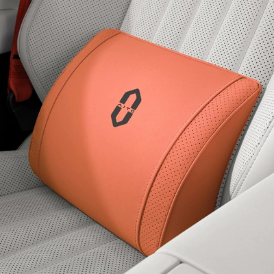 Neck Pillow Lumbar Support Waist support - little-k-velvet-emma-orange-asking-world-lumbar-support-1-piece