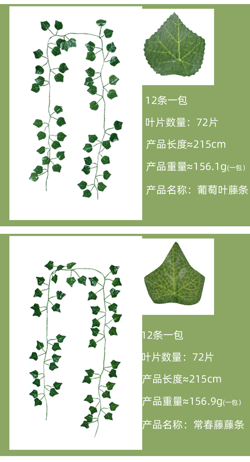 海棠藤