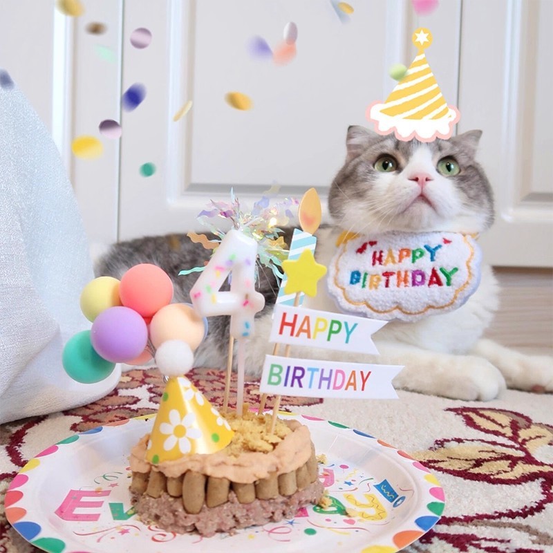 宠物狗狗猫咪生日派对装饰装扮围脖拍照道具围巾帽子围兜蛋糕蜡烛|undefined