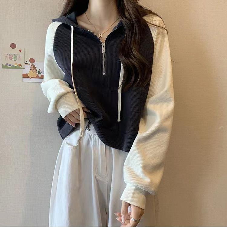 Retro sweatshirt with zipper