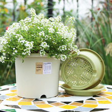 ��֬����ظ���͸��deepot�Ӂ����̖�p�ݸ߼����¼����ϻ������