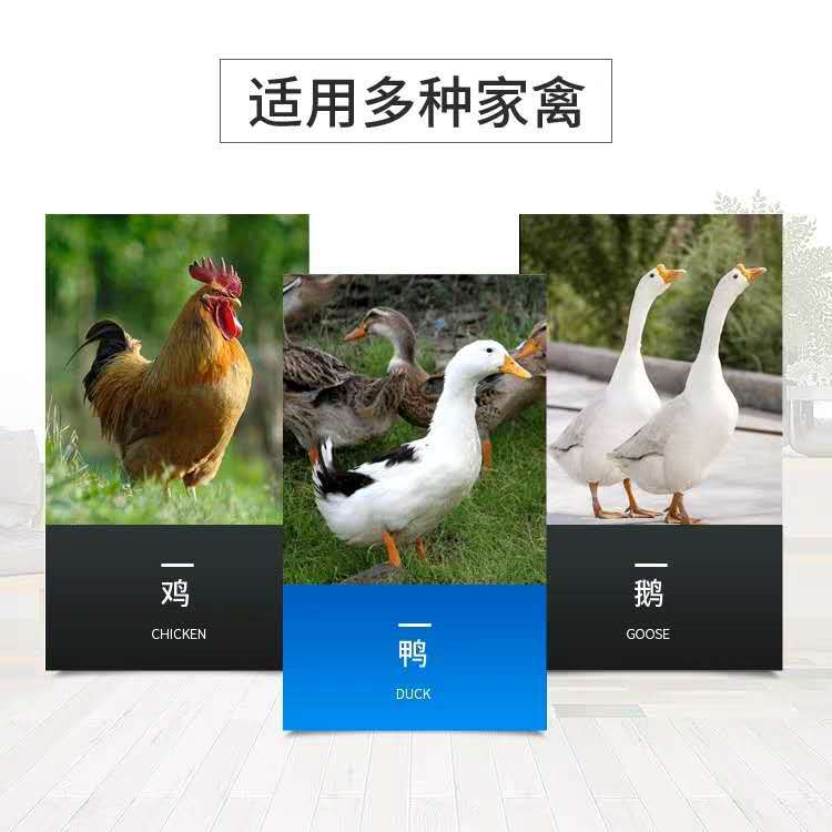 3368efa5fe7682231858cbe455f8dd