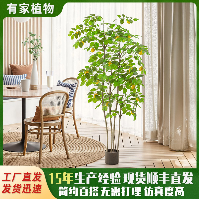 Estilo nórdico artificial planta verde limón árbol bonsai decoración interior salón decoración artificial planta bonsai árbol artificial