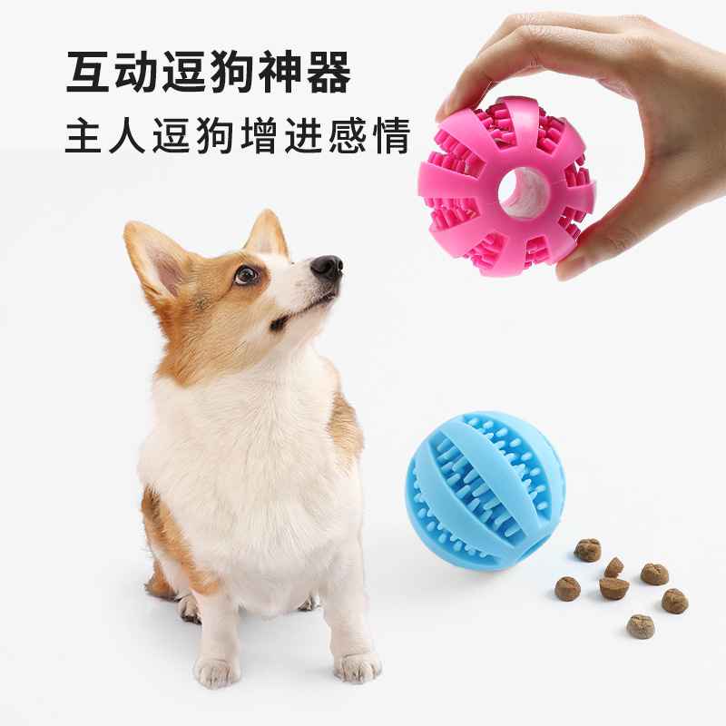Tarjeta de juguete para mascotas transfronteriza, solo para aliviar el aburrimiento, bola de perro, molar, goma elástica, bola sólida, juguete para perro, bola de fuga