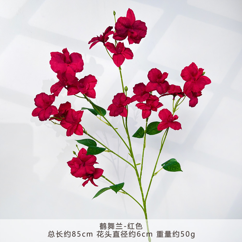 Wp-red orchid dance