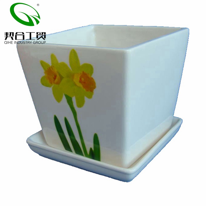 Cerámica de forma especial de dibujos animados carnosa maceta color esmalte nube blanca transpirable flor redonda marco de hierro pulgar maceta personalizada