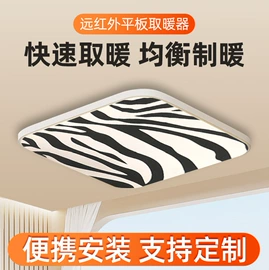 其他取暖电器;暖风机取暖器