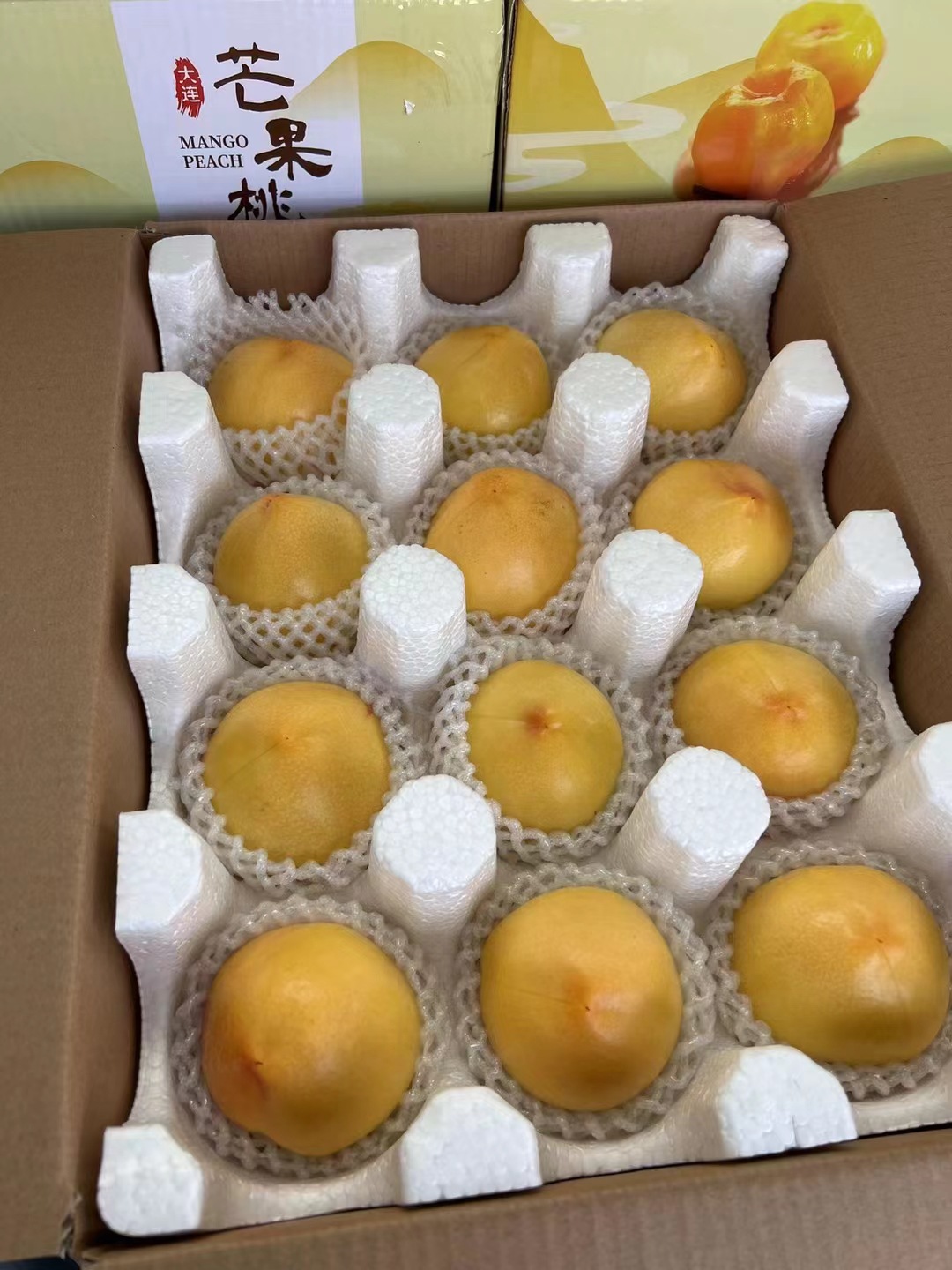 微信图片_20220522125814