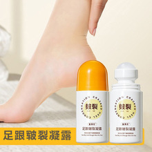 ���������������¶�L�����_������B�̝������ﶬ�o�㰗�Ѹ���Ʒ