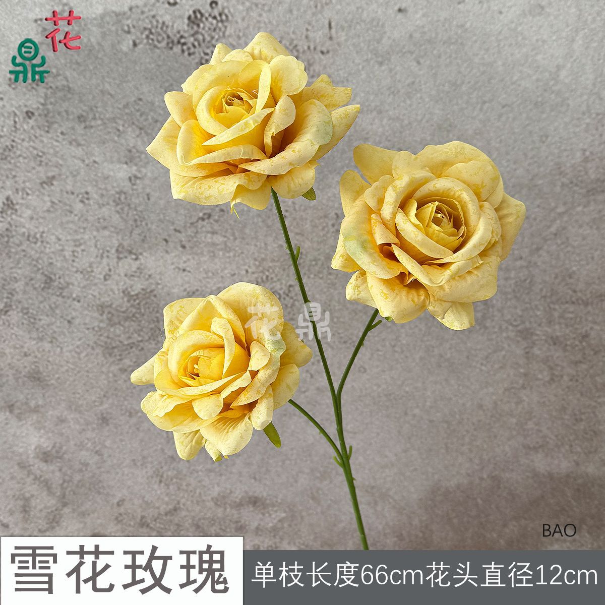 Bông tuyết hồng BAO vàng