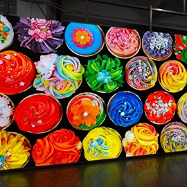 LED室内屏;LED户外屏;LED显示器件