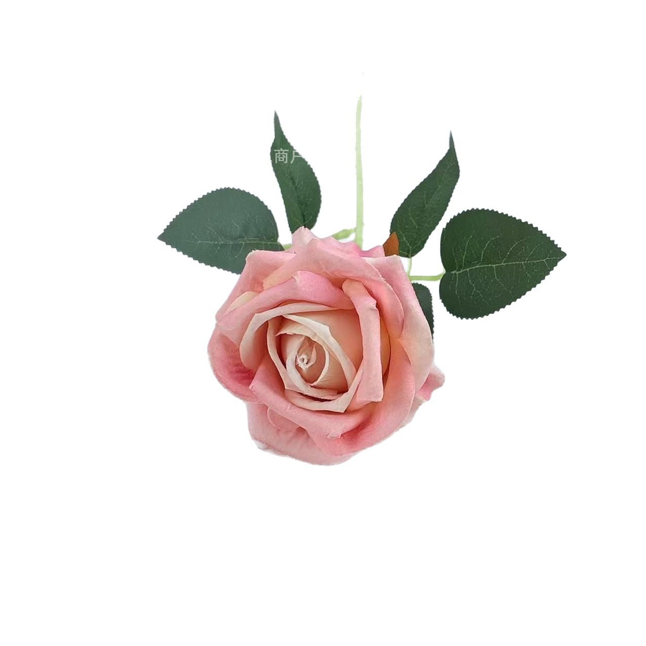 Simulación de tela de terciopelo pequeña crema rosa flor artificial única flor de boda hogar decoración del auditorio ramo de flores accesorios de fotografía
