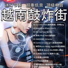 越南鼓DJ音乐U盘炸街串烧咚鼓DJ舞曲酒吧重低音嗨曲DJ电音潮流DJ