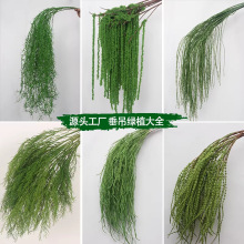 �¿��c����Gֲ���ĵ�픻���Y�廨��ˇ�J���ݽ����G�~�ٻ�����