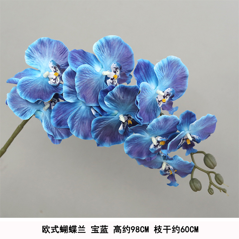 Silk european style phalaenopsis royal blue