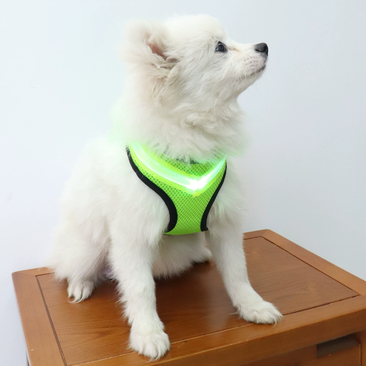 Ремень на груди и спине домашних животных