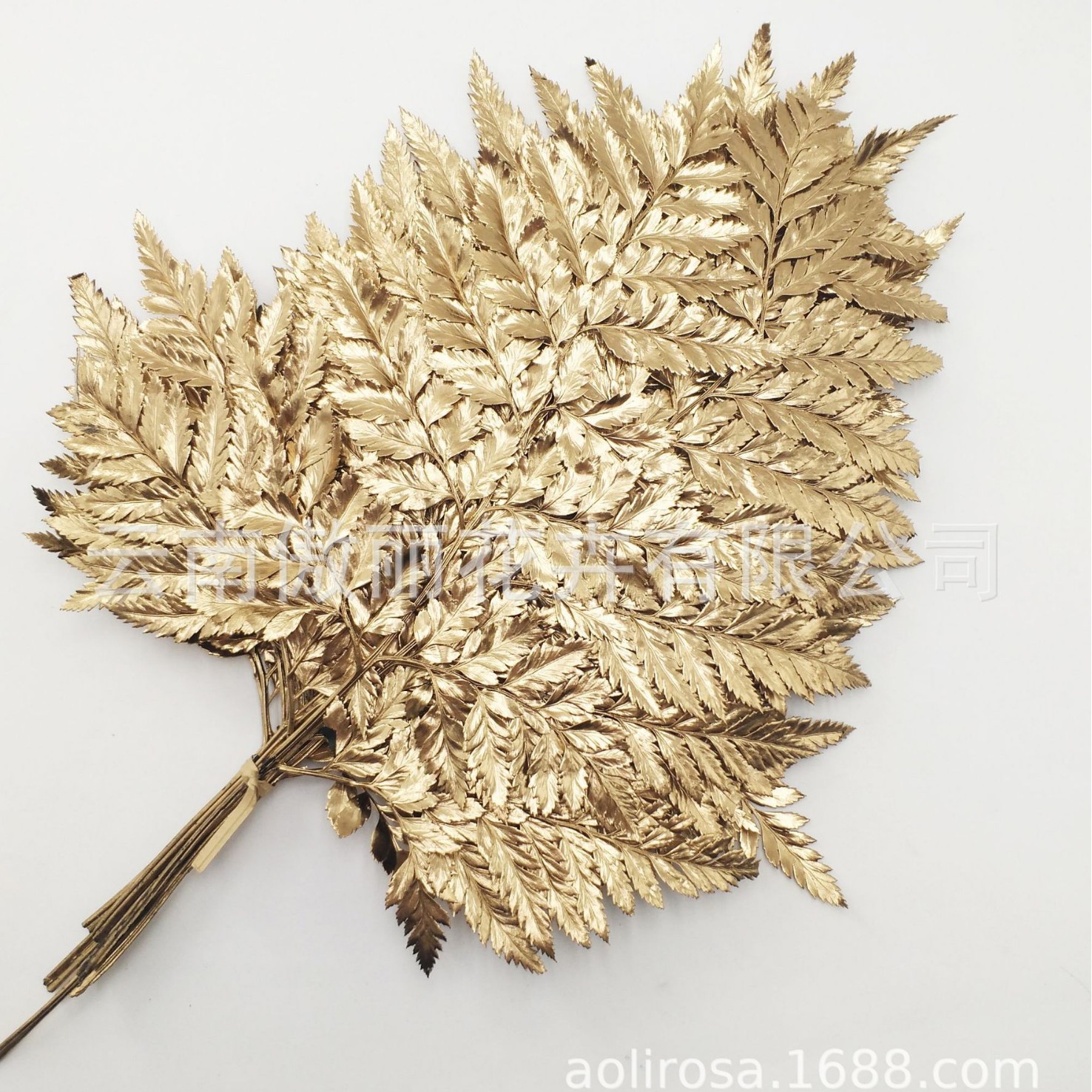 Yongsheng flor/Alpine ovejas diente hoja de helecho/hoja de helecho dorado material con hojas exportación calidad fábrica al por mayor