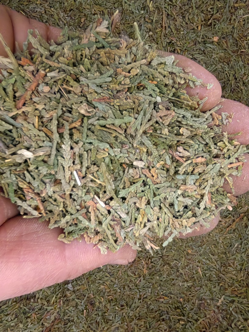 Ce Bai Ye Powder (Platycladus orientalis) — Dried Arborvitae Leaf Herb, 500g specifications