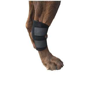 Cross-Border Dog Hind Leg Joint Support Belt Dog Knee Pads Pet Dog Knee Pads Protective Cover Knee Pads Injury Anti-Licking Protective Gear