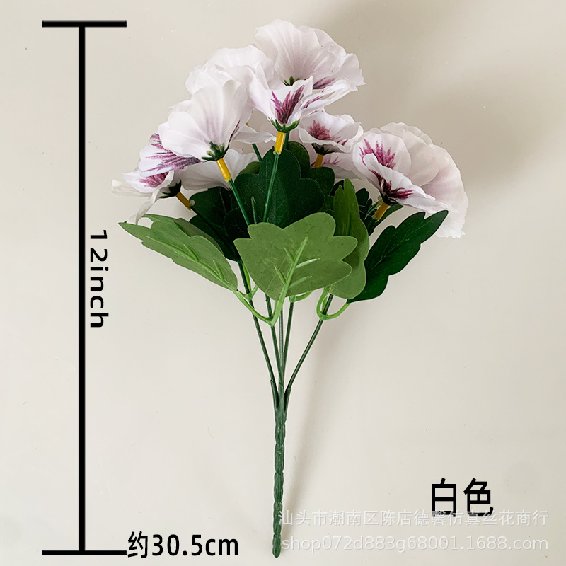 화이트