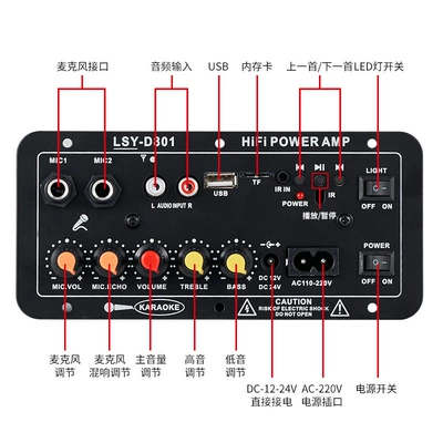 D802 Digital Amplifier Board for Car speaker/subwoofer