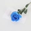 Blue Rose Silk Blue