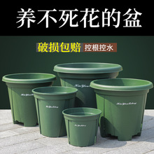 ��ɽ��ظ���͸ˮ͸��ظ��������Ӻ�G�}�m���¼��������ϻ���