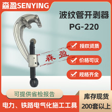 �ք���|��Ƥ���~�X�o�ׄ�����PG-220���y���_�����߉���|̎����