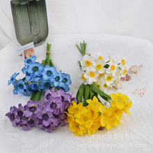 ���滨��ˮ�ɻ���������ˮ�ɻ���@�L�����Q���uͨ�Ԍ�����ˮ�ɻ�