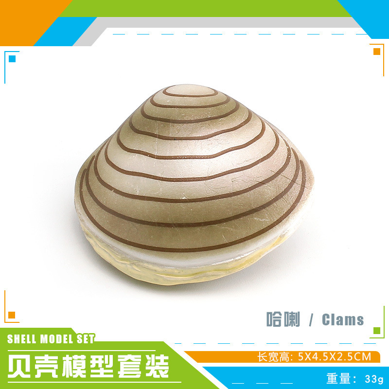 PL127 - 3572 Hala 33g