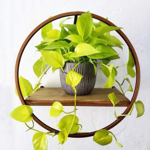 �S���G�}���Ի��ܺ��B�׻�׽��G�}ˮ�Bֲ��͏d�҃ȃ����՚�