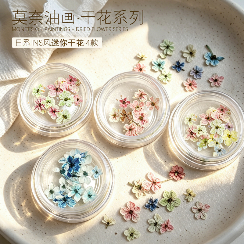 Japanese-Style Ins-Style Nail Art Dried Flowers Monet Oil Painting Color Scheme Pressed Flowers Dried Flower Buds Nail Decorations Mixed DIY Materials