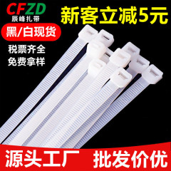 メーカー卸売りナイロン結束バンドは黒色セルフロック式プラスチック結束強力バンドを大量に生産している