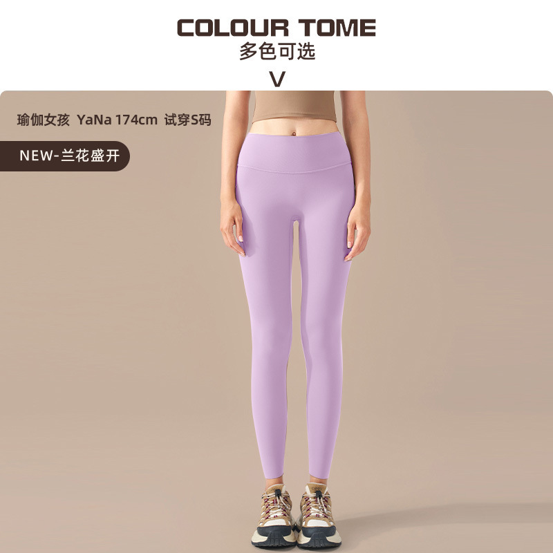 난초가 활짝 피어있습니다