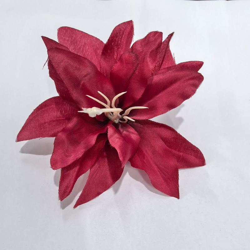 빨간색 흰색 코어