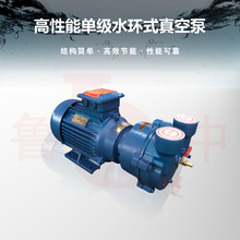 2BV5110水环式真空泵直连设计机械密封不锈钢叶轮真空泵