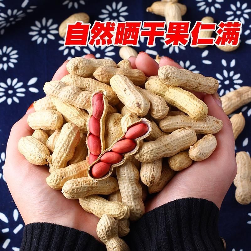 2024年新货新红皮生花生带壳新鲜晒干原味花生铁锅炒货农家花生米|undefined