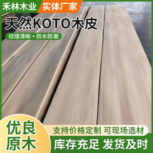 KOTOȾɫľƤ���󠝰噙�w�N���҃��b���˹ľ�ľ�|ľ�y��ľ