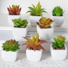 ��������մ��辰�Ҿ��k��������[���Gֲ�����Ĕz��������M����