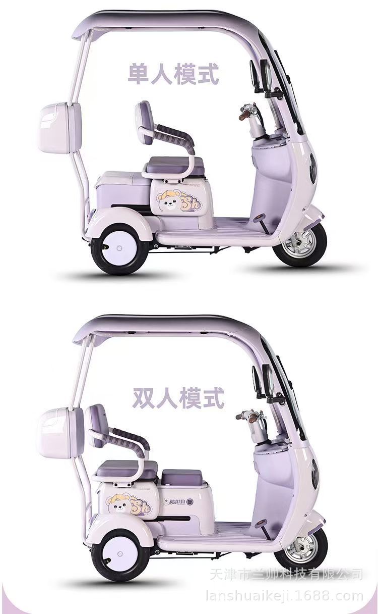 New National Standard Electric Tricycle with Canopy